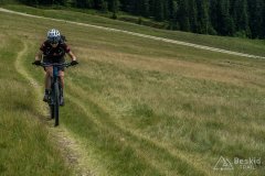 IMG_1803