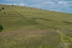 IMG_1809