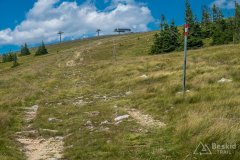 IMG_1812
