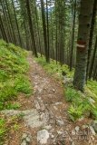 IMG_1824