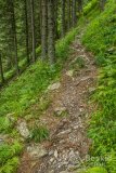 IMG_1825