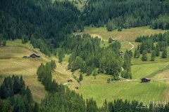 IMG_1831