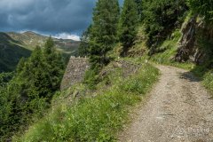 IMG_1832