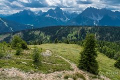 IMG_1836