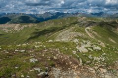 IMG_1850