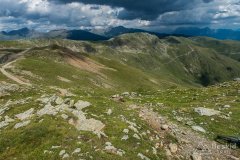 IMG_1851