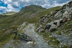 IMG_1855