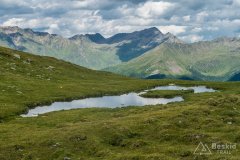 IMG_1856