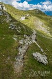IMG_1861