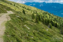 IMG_1874