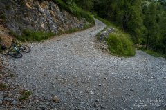 IMG_1882