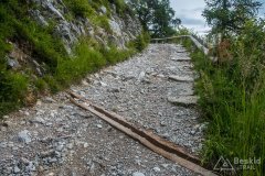 IMG_1883