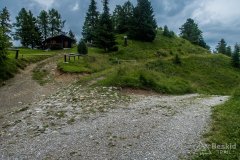 IMG_1887