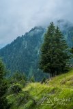 IMG_1890