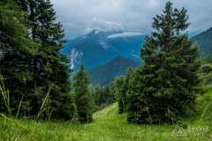 IMG_1891