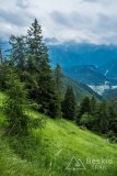 IMG_1892