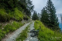 IMG_1893