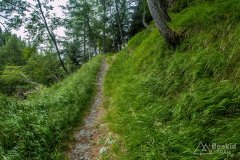 IMG_1894