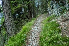 IMG_1896