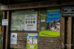 IMG_1900