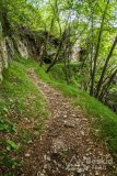 IMG_1910