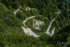 IMG_1912