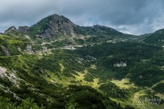 IMG_1914