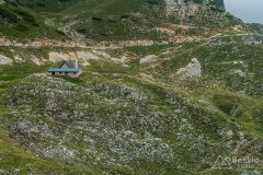 IMG_1917
