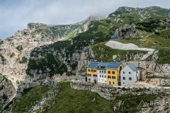 IMG_1920