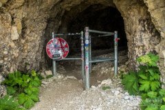 IMG_1921