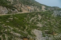 IMG_1923