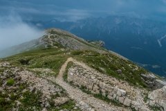 IMG_1929