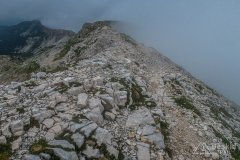 IMG_1932