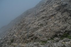 IMG_1933