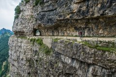 IMG_1939