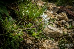 IMG_1942