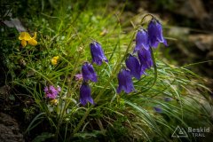 IMG_1945