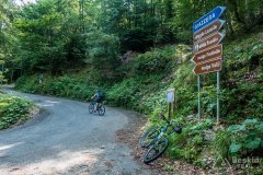 IMG_1948