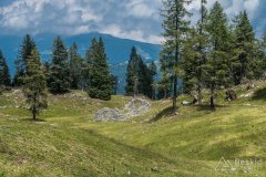 IMG_1956