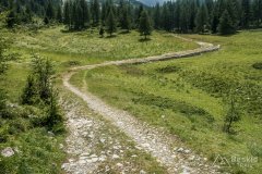 IMG_1958