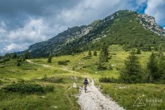 IMG_1962