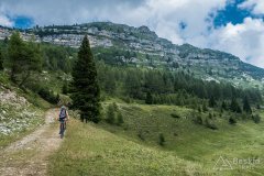IMG_1963