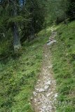 IMG_1965