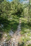 IMG_1967