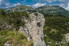 IMG_1971