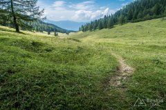 IMG_1977