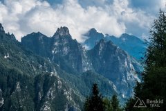 IMG_1979