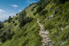 IMG_1981