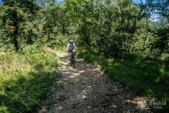 IMG_1990