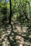 IMG_1992